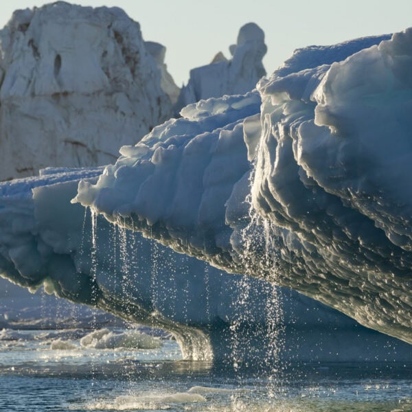 NH #691: Arctic Ice Melt & Nuclear Radiation Dangers: UK Marine Biologist Tim Deere-Jones