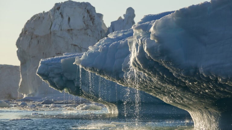 NH #691: Arctic Ice Melt & Nuclear Radiation Dangers: UK Marine Biologist Tim Deere-Jones