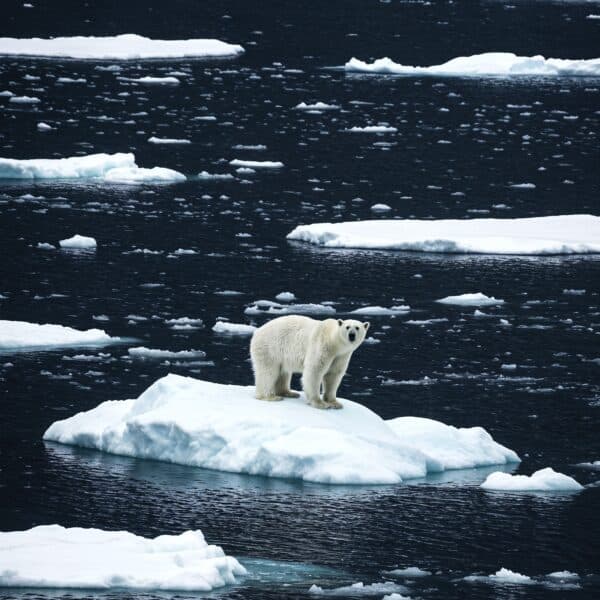 NH #777: Arctic Ice Melt & Nuclear Radiation Dangers: UK Marine Biologist Tim Deere-Jones