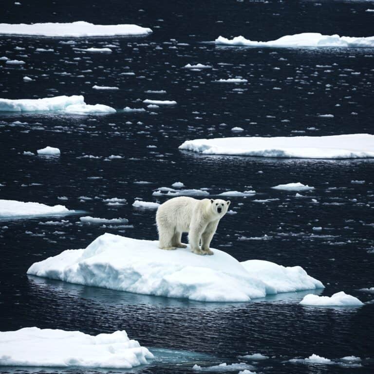NH #777:  Arctic Ice Melt & Nuclear Radiation Dangers: UK Marine Biologist Tim Deere-Jones
